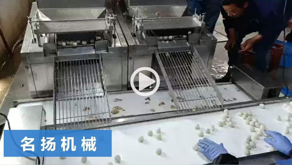 鵪鶉蛋蒸煮線2